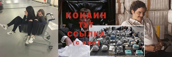 сатива Нефтегорск