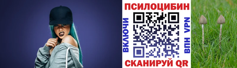 купить наркоту  ссылка на мегу как зайти  Псилоцибиновые грибы мицелий  Котовск 